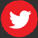 Georgian voice over twitter